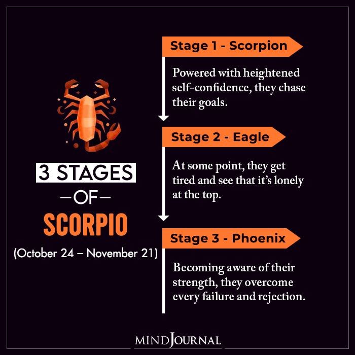Stages Zodiac Signs Most People Dont Know scorpio