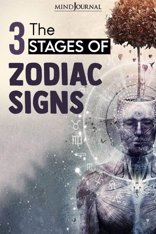 Stages Zodiac Signs Most People Dont Know About pin