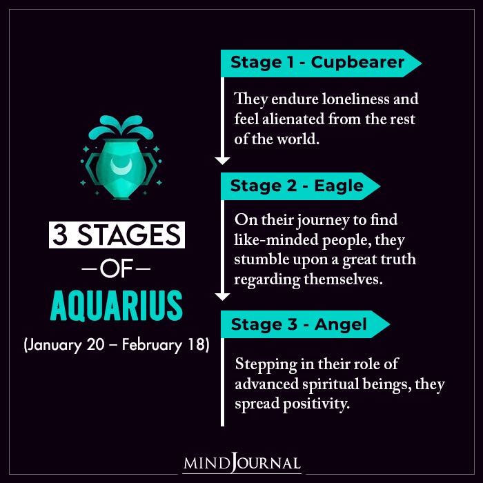 Stages Zodiac Signs Most People Dont Know aquarius