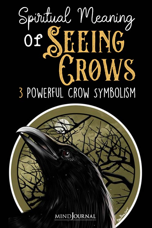 Spiritual Meaning Of Seeing Crows Mystical Crow Symbolism pin
