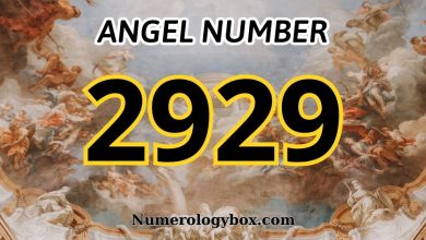 2929 Angel Number Meaning: Unraveling its Divine Significance