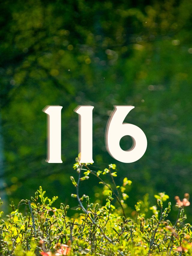 116 angel number meaning