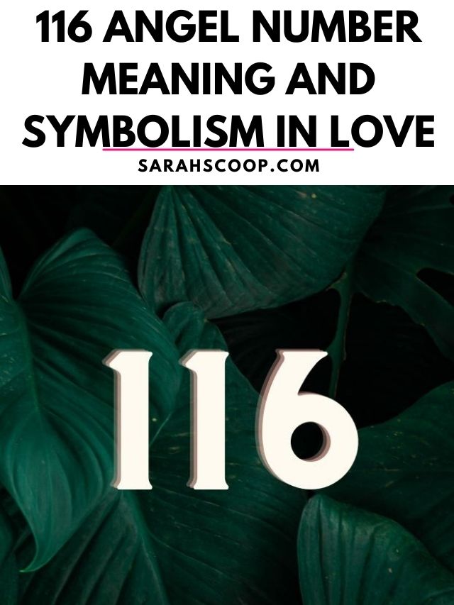 116 angel number meaning in love