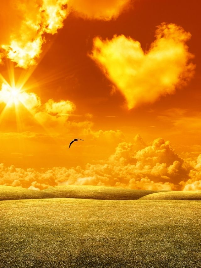 sunset over land with a heart cloud and bird flying
