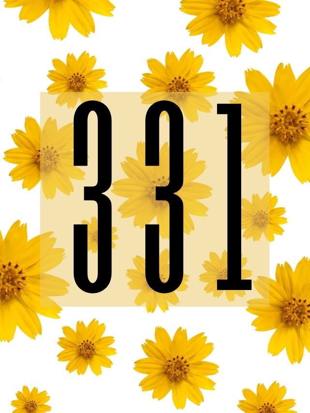 angel number 331 on sunflower background
