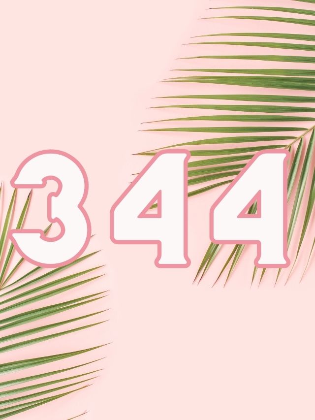 344 angel number meaning with number 344 featured with a pink background and palm trees