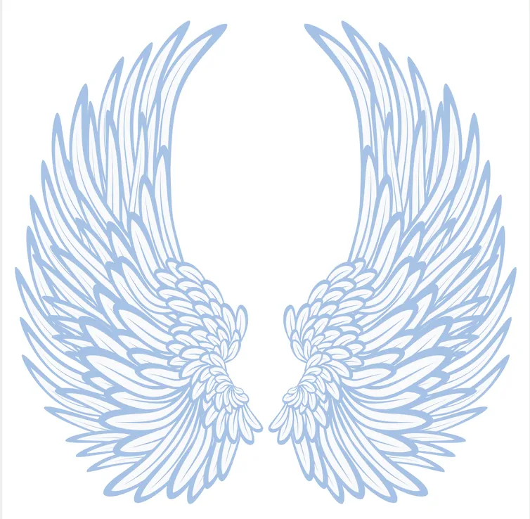angel-wings-beautiful