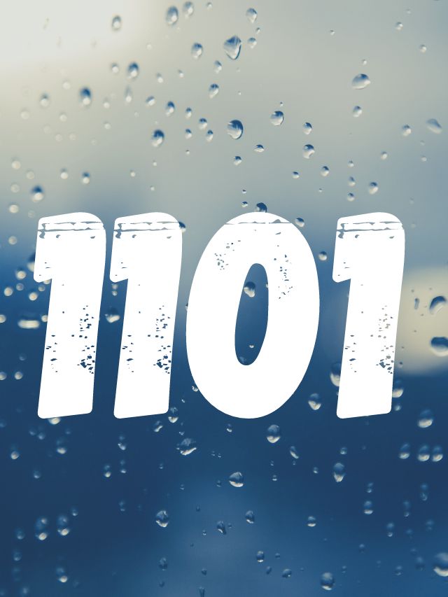 1101 angel number meaning on rain drop background