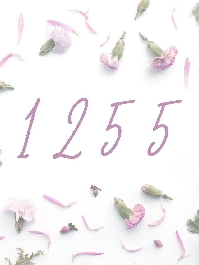 angel number 1255 on flower background
