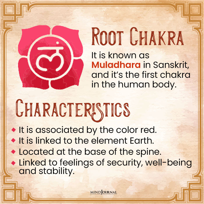 Chakras The Energy Centers root