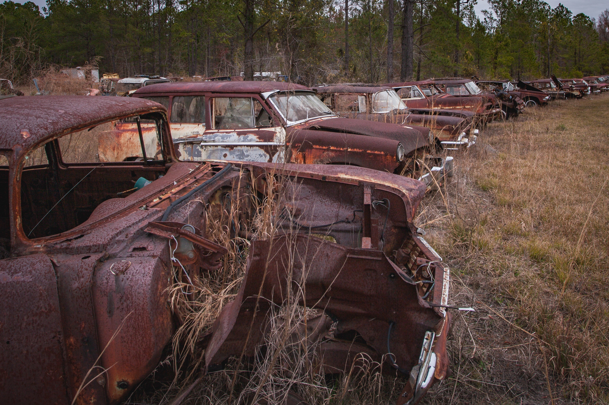 Salvage Yard