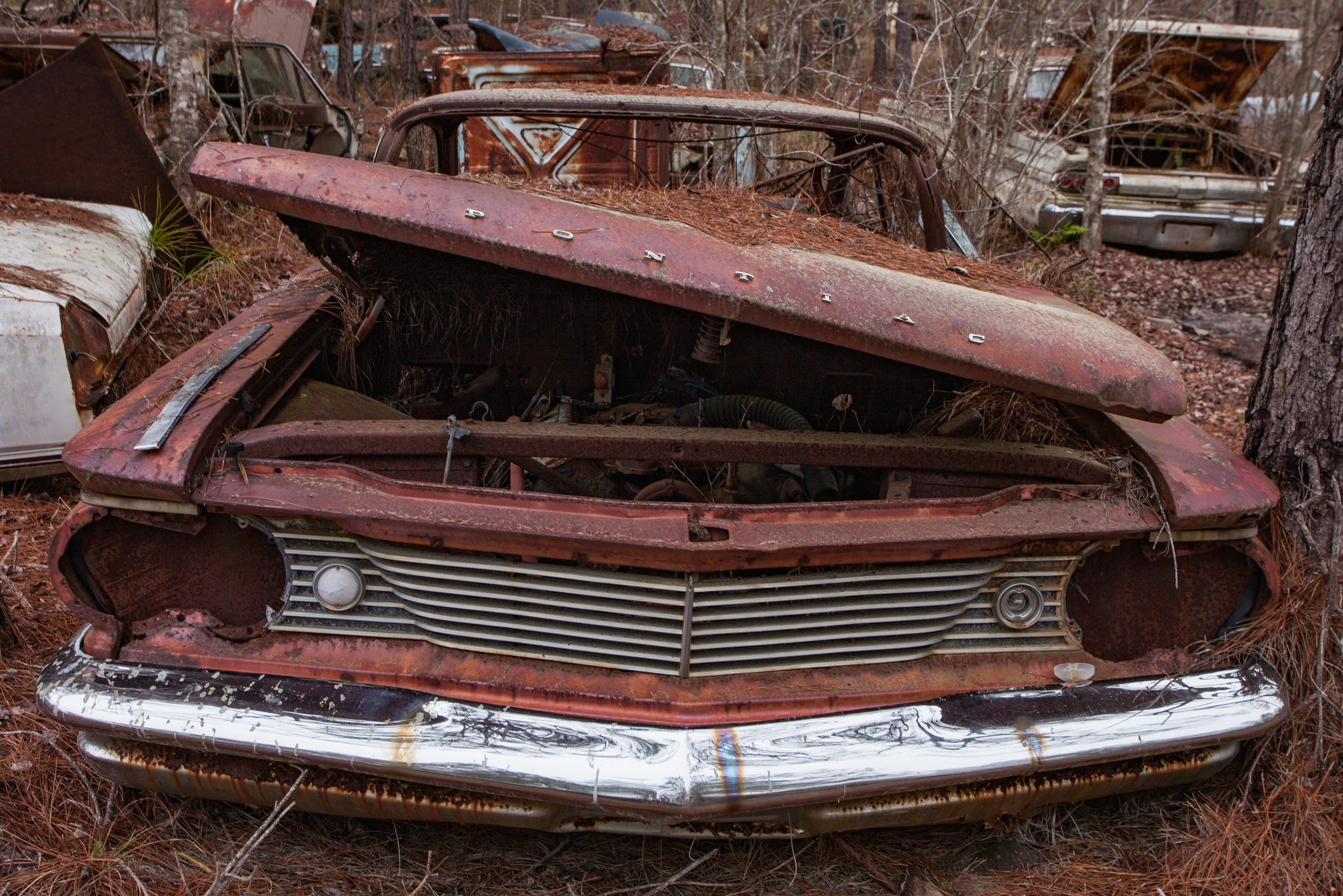 Salvage Yard