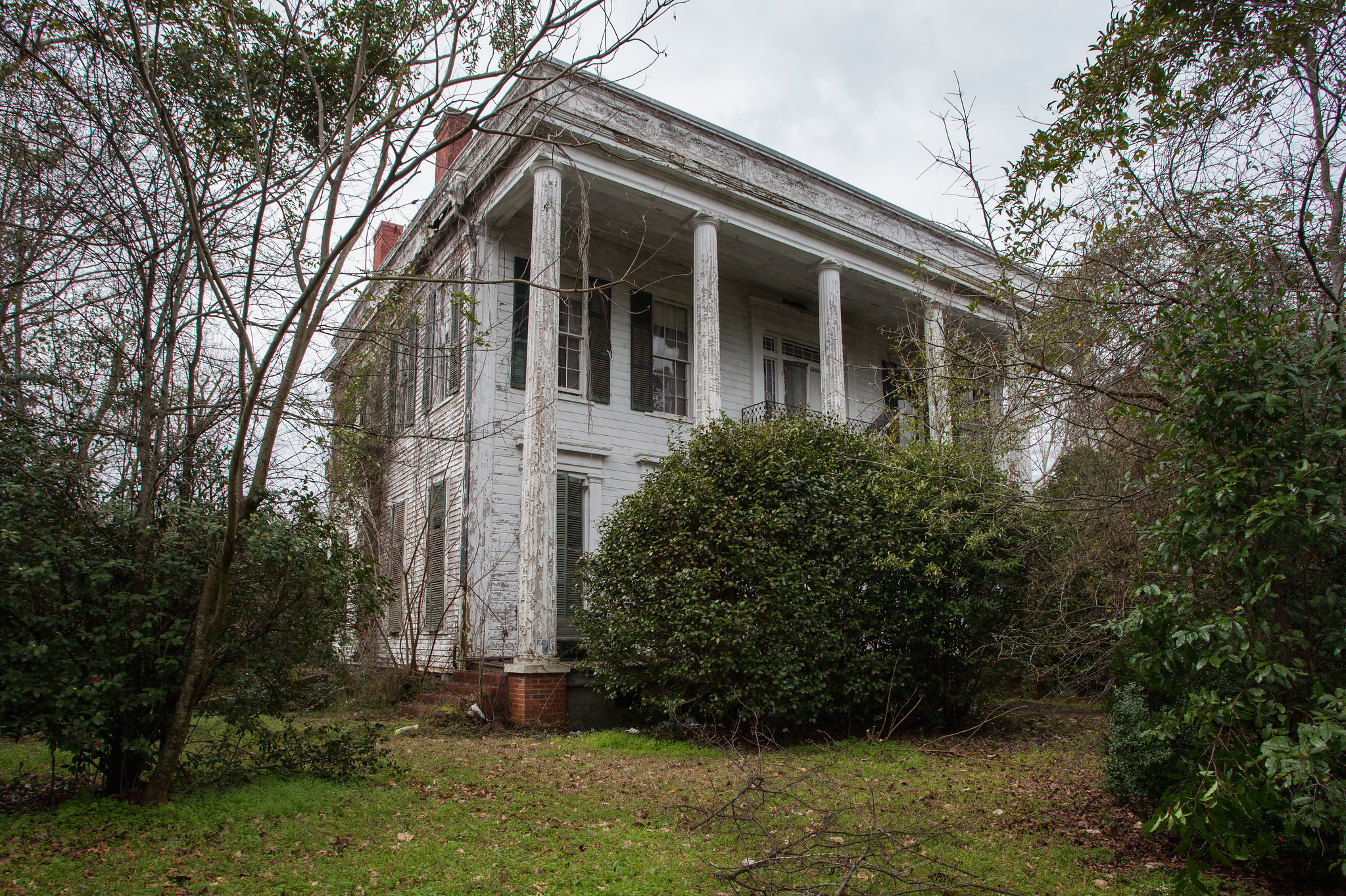 Cotton Plantation