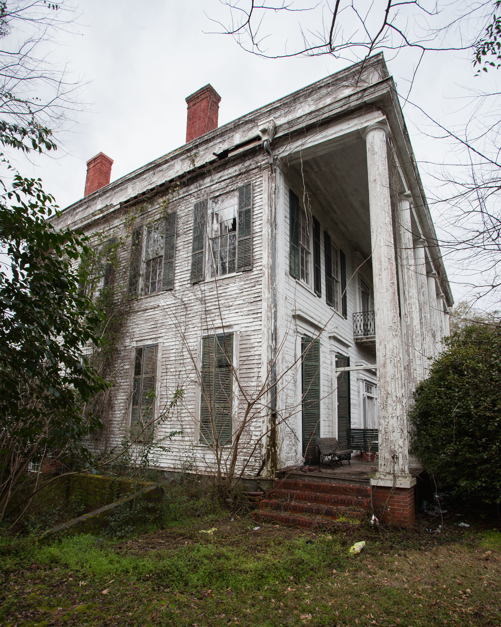 Cotton Plantation