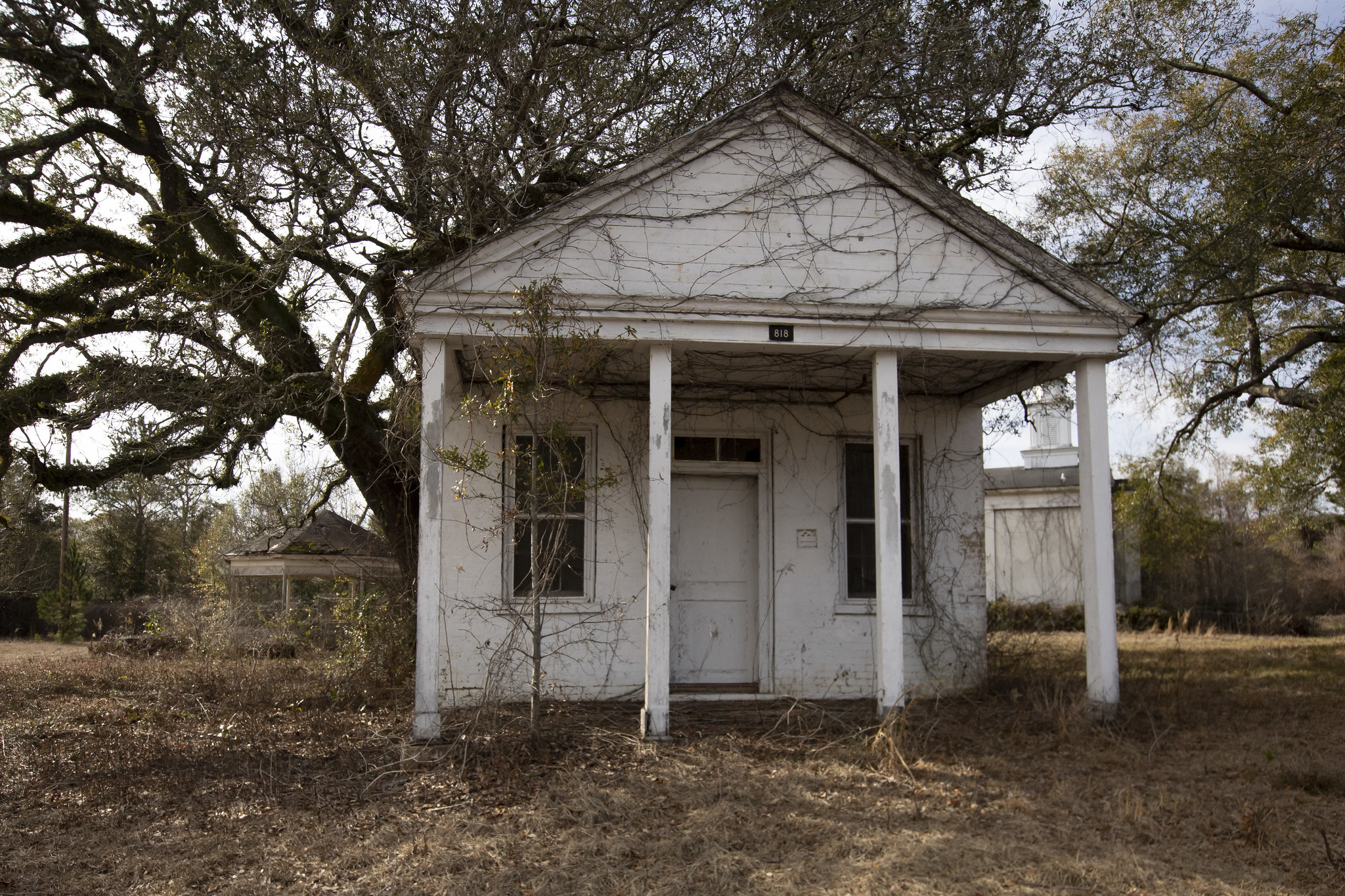 Searcy Hospital