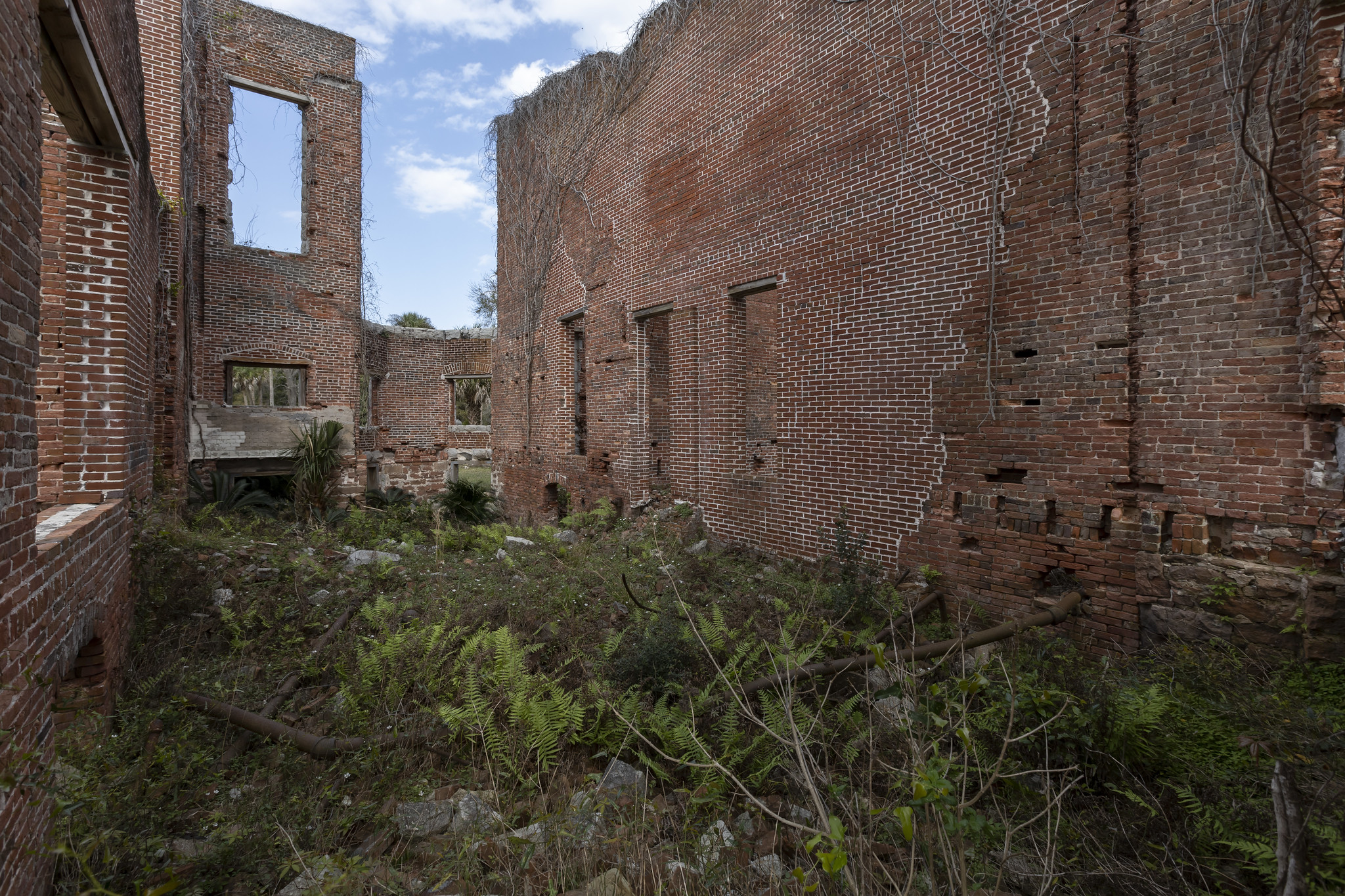 Dungeness Ruins