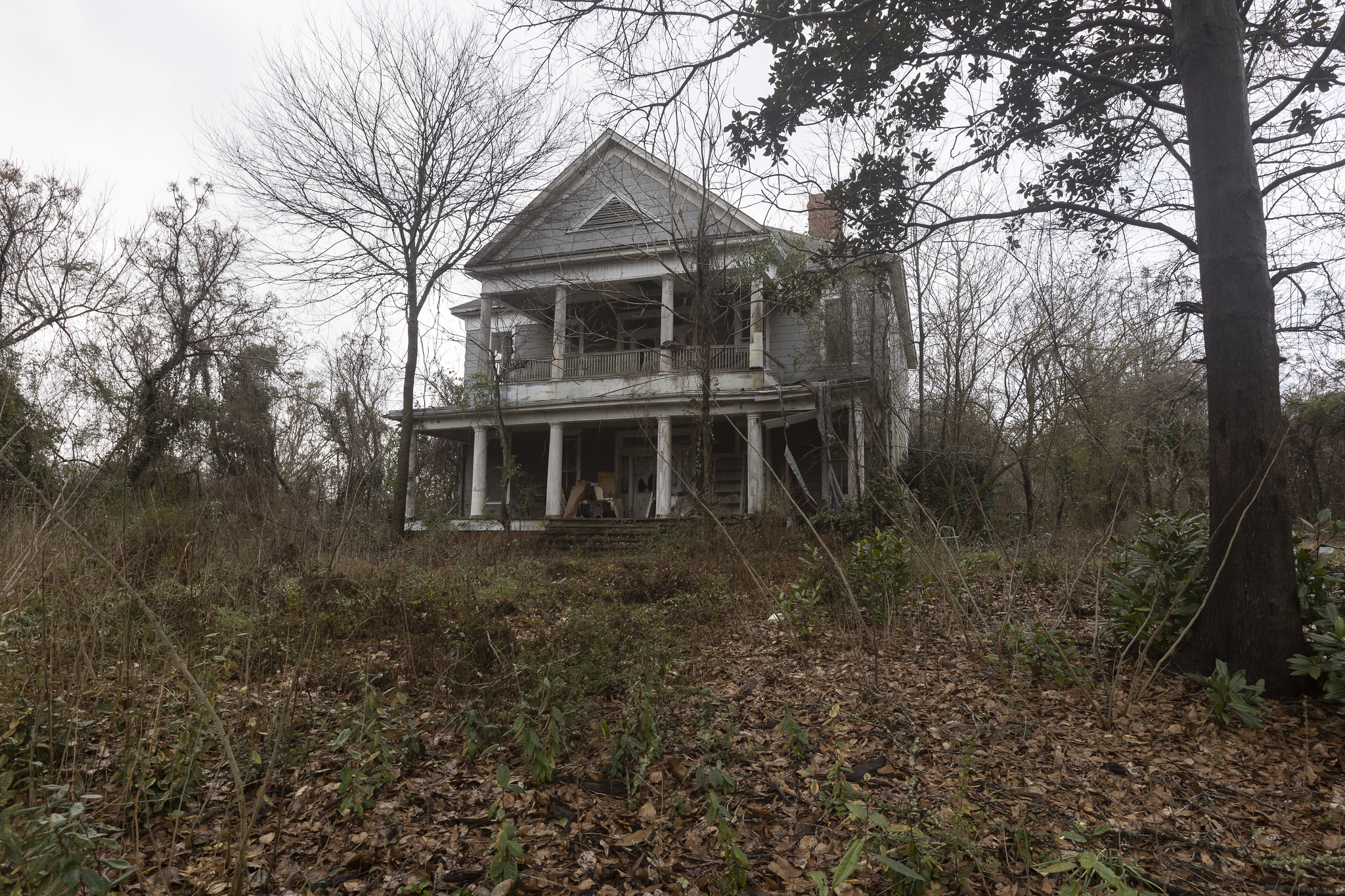 Hoarder House