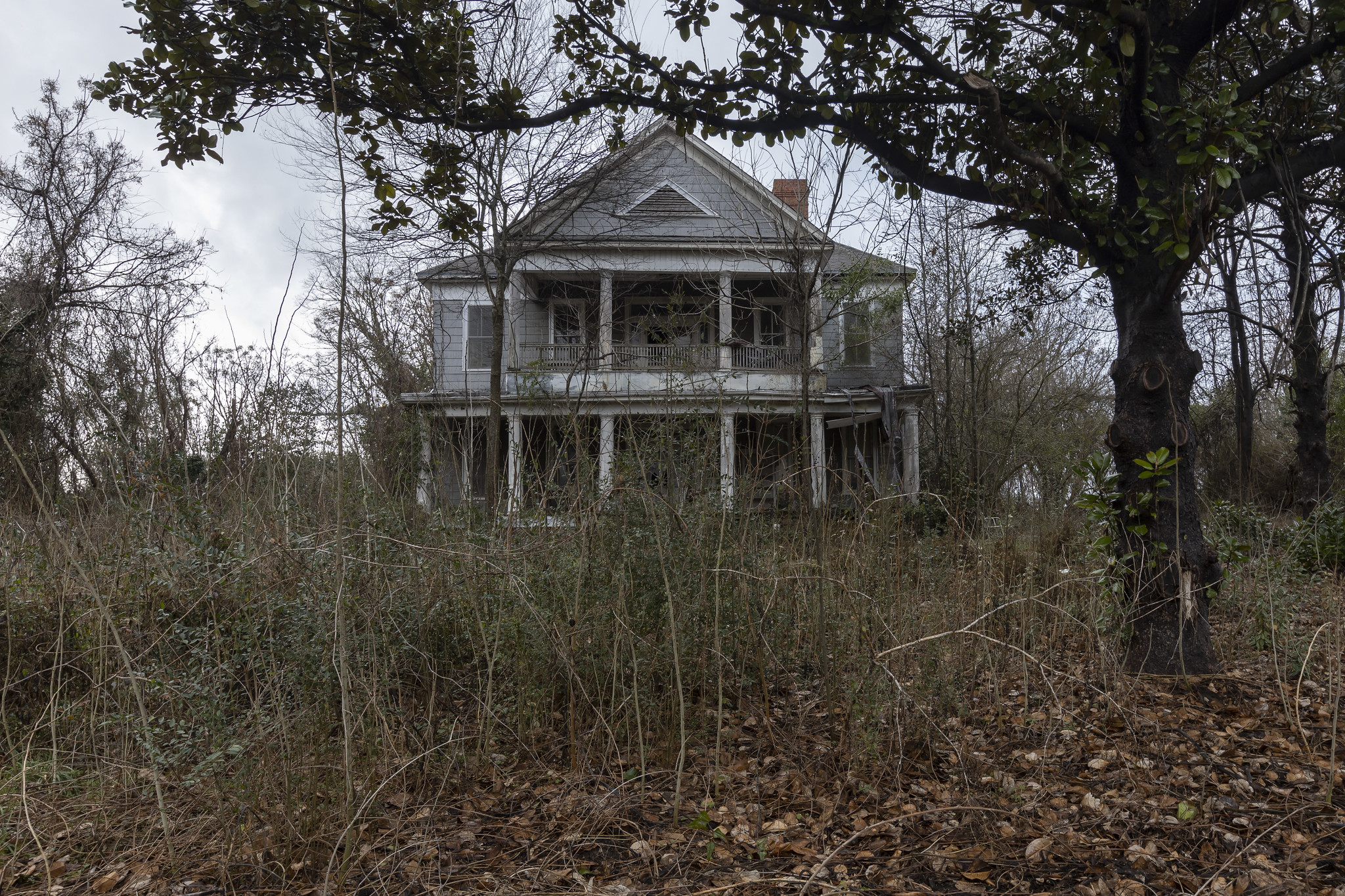 Hoarder House