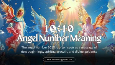 1010 angel number meaning
